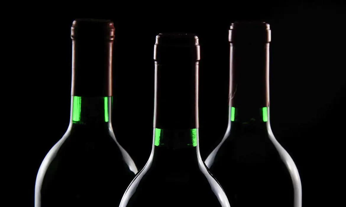Alcoólicos Anônimos no Brasil celebra 79 anos com eventos de acessibilidade no Rio de Janeiro