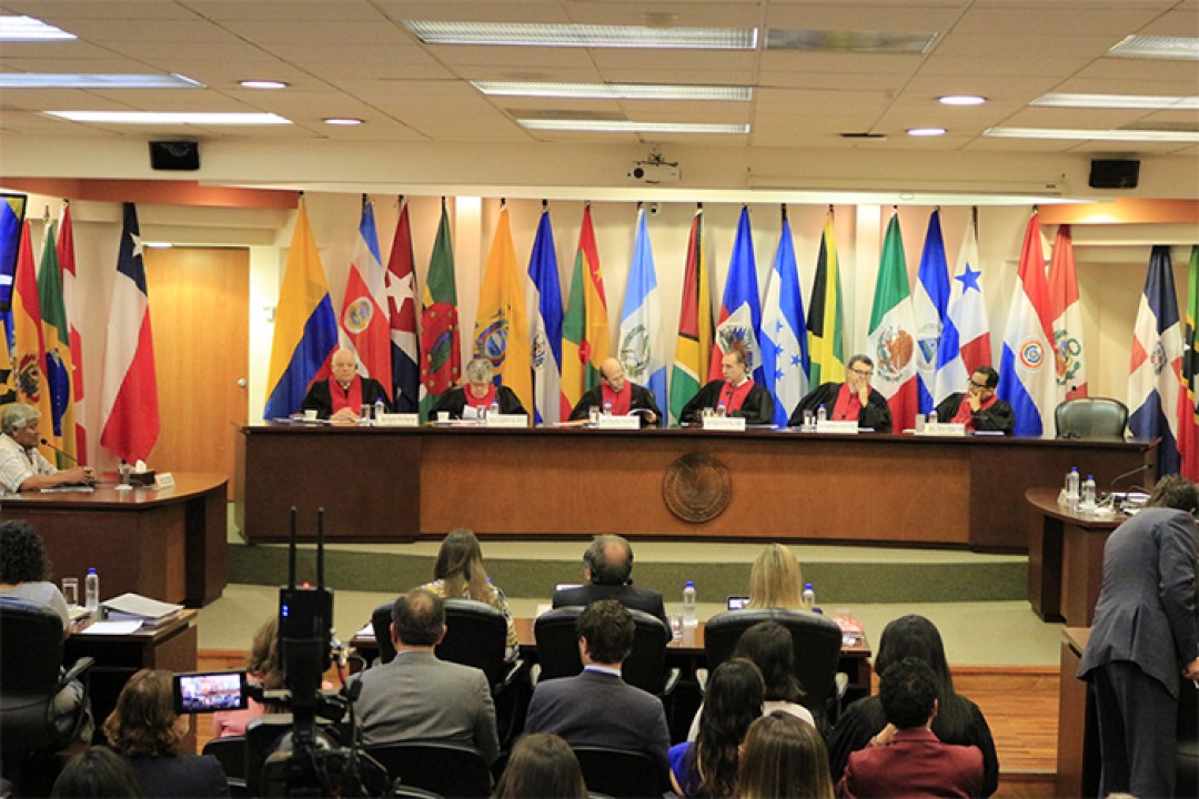 Redepelicanocorteidhimagempublica2