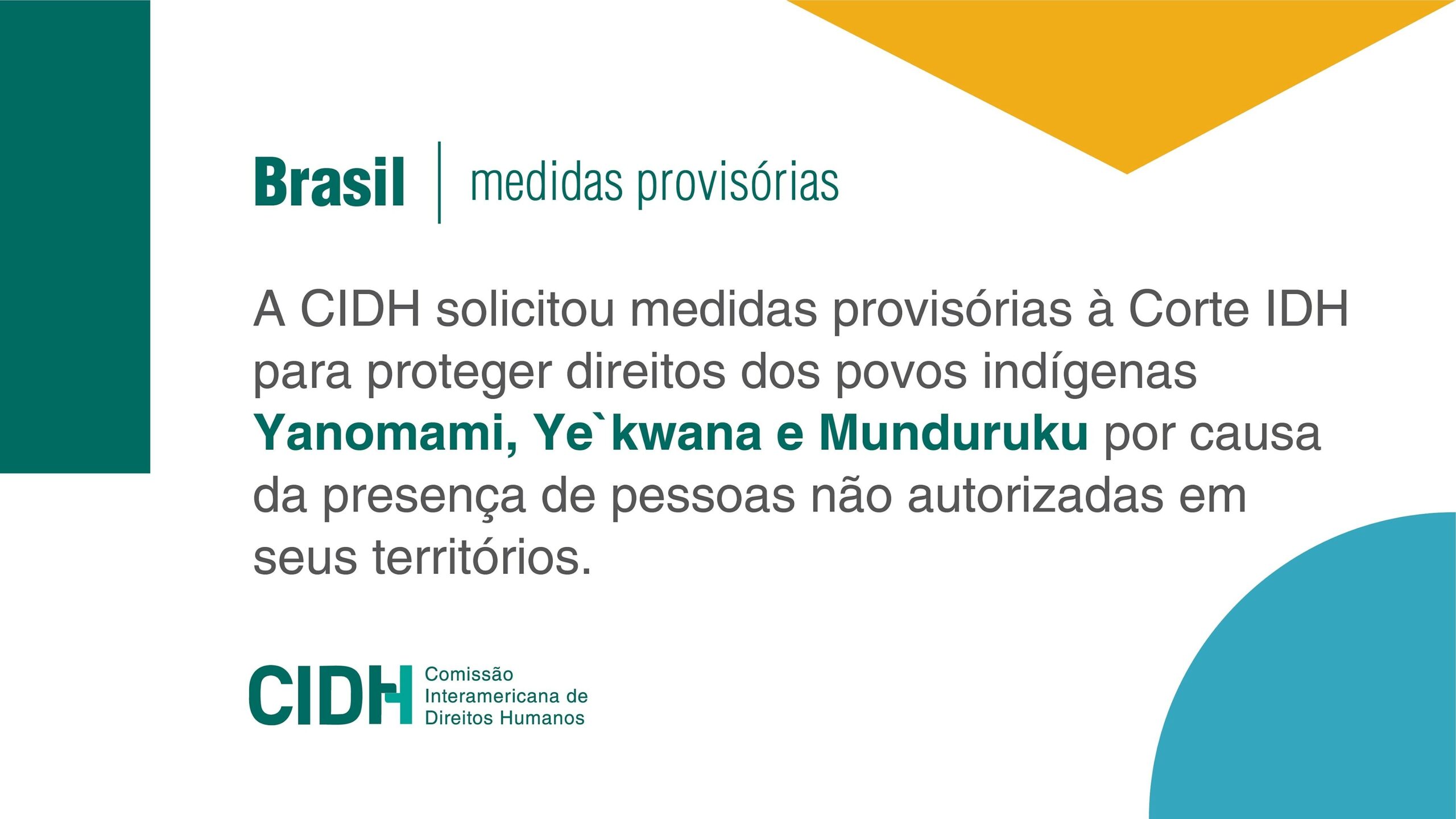 Ibepacredepelicanopovosindigenas Scaled 1