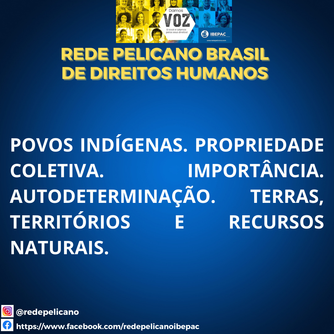 REDE PELICANO AUTOGOVERNO POVOS INDIGENAS 1