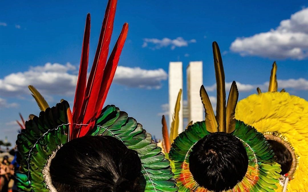 Rede Pelicano Povos Indigenas Curso Virtual