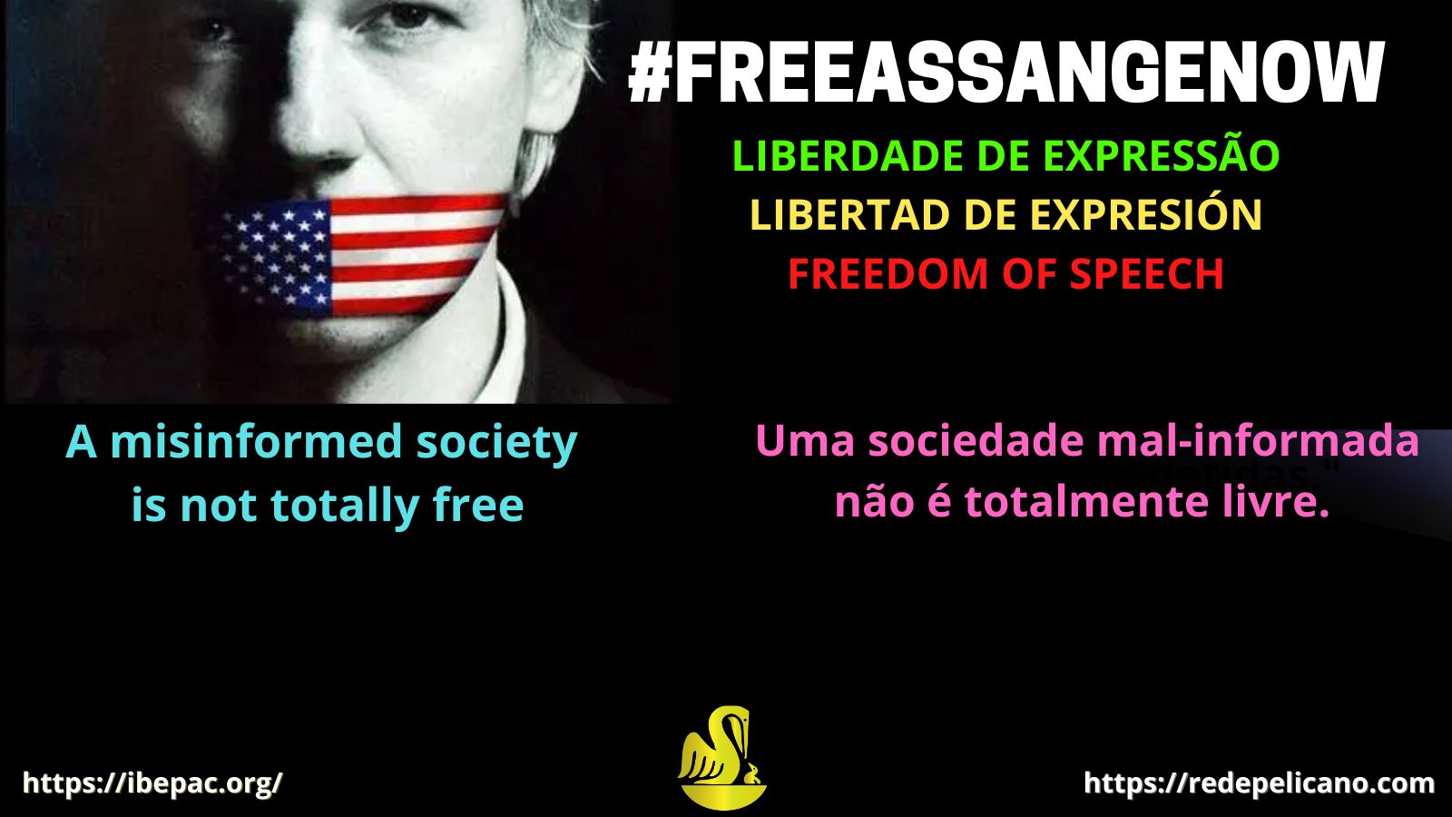 REDE PELICANO IBEPAC ASSANGE SOCIEDADE MAL INFORMADA