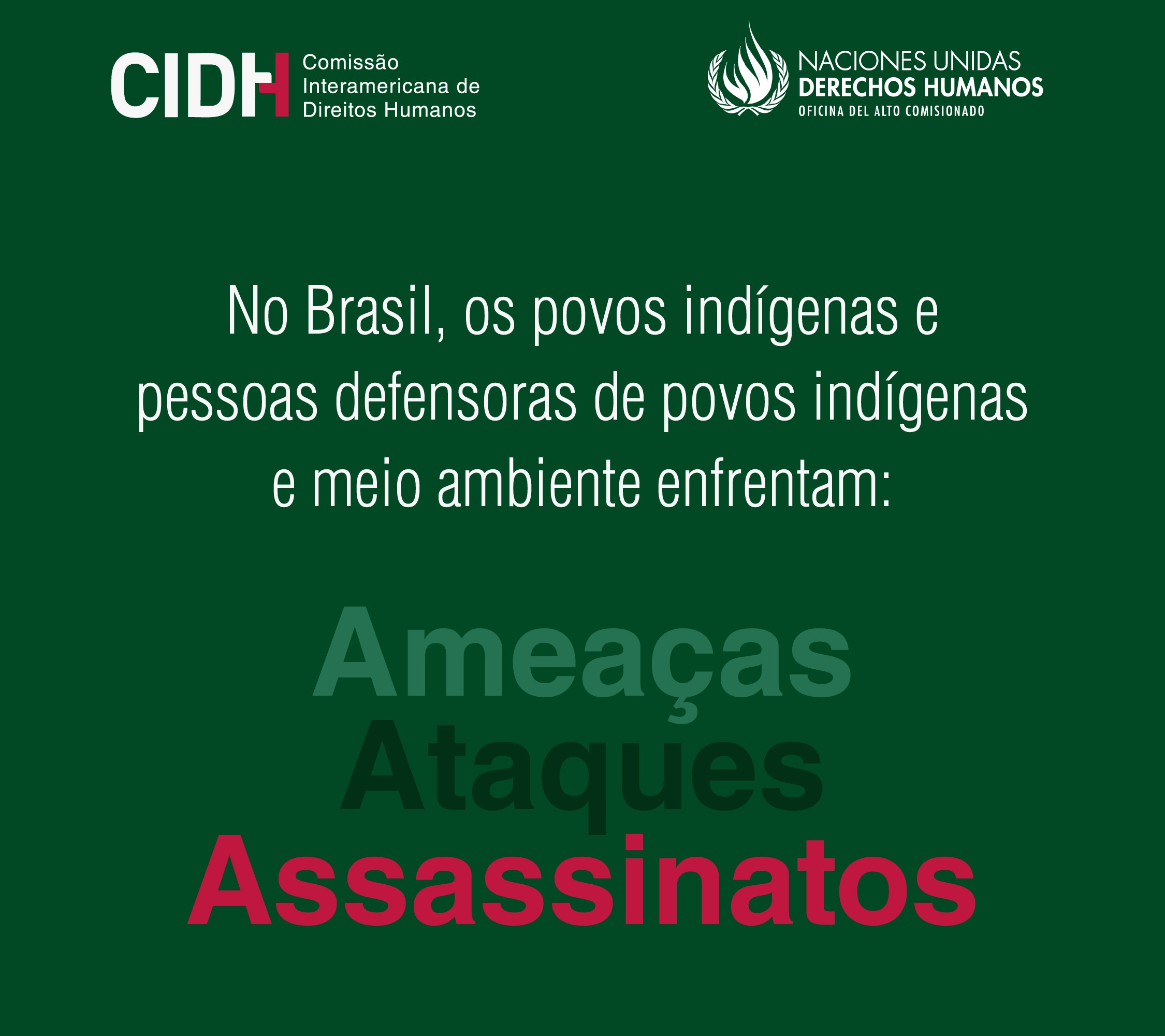 REDE PELICANO IBEPAC CIDH POVOS INDIGENAS