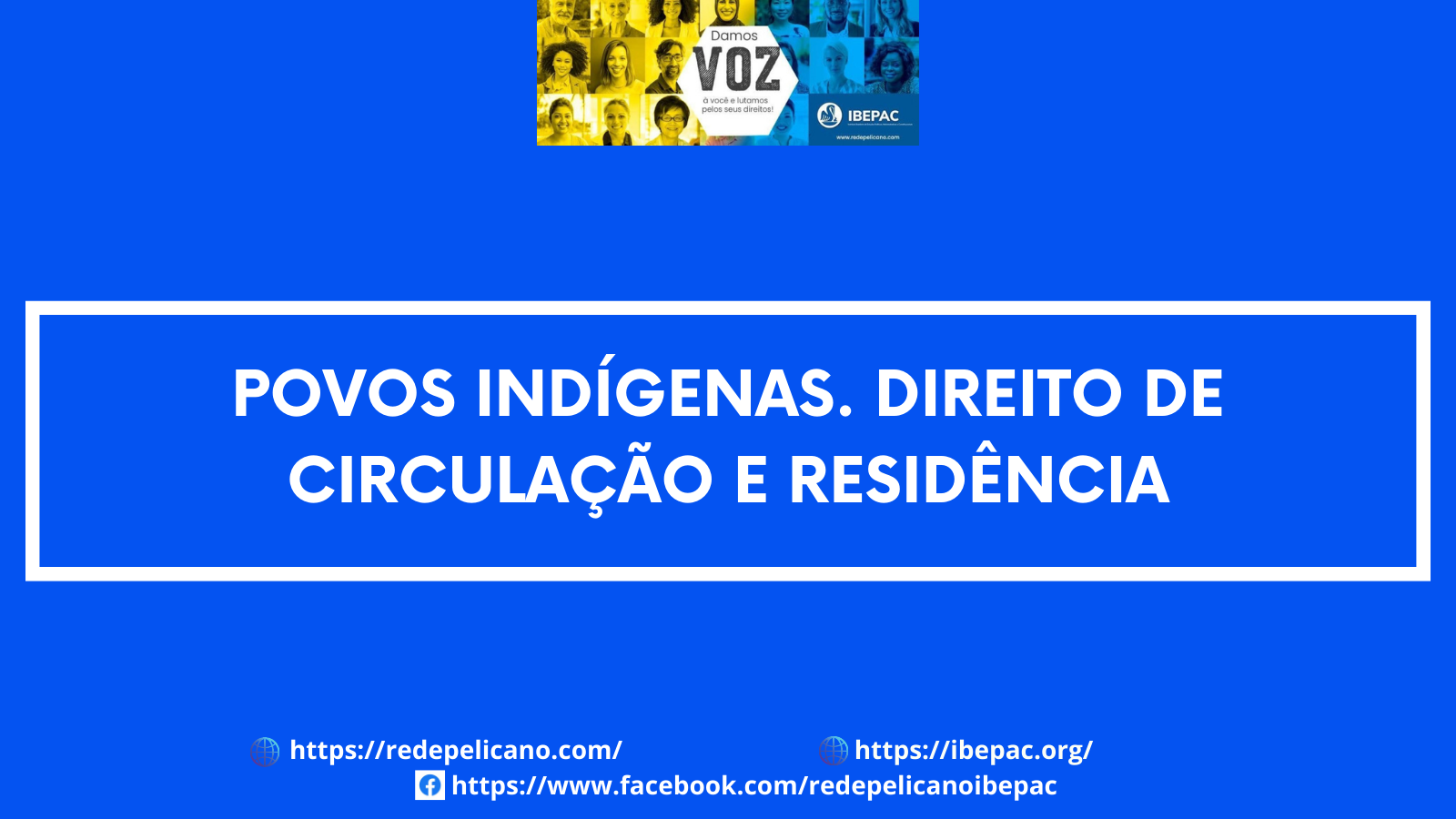 REDE PELICANO POVOS INDIGENAS LIBERDADE IR E VIR 2
