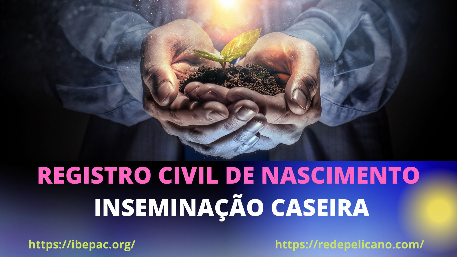 1 REDE PELICANO IBEPAC REGISTRO NASCIMENTO