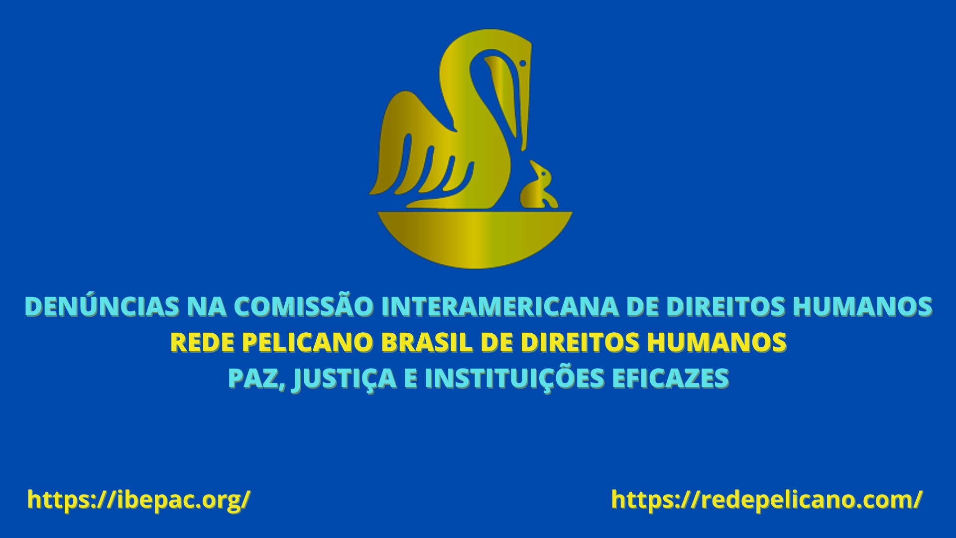 REDE PELICANO BRASIL DE DIREITOS HUMANOS 1
