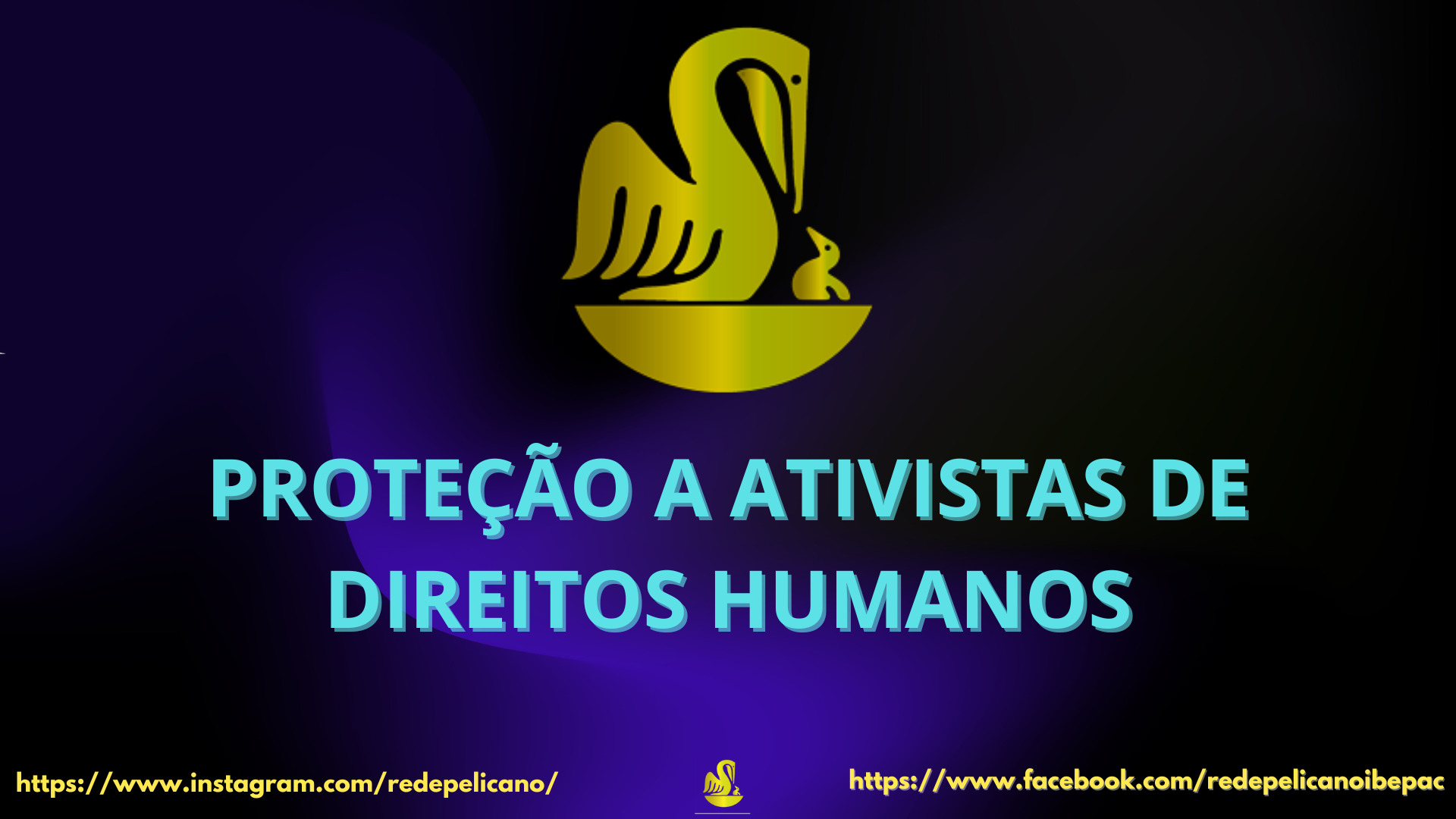 REDE PELICANO BRASIL DE DIREITOS HUMANOS 2