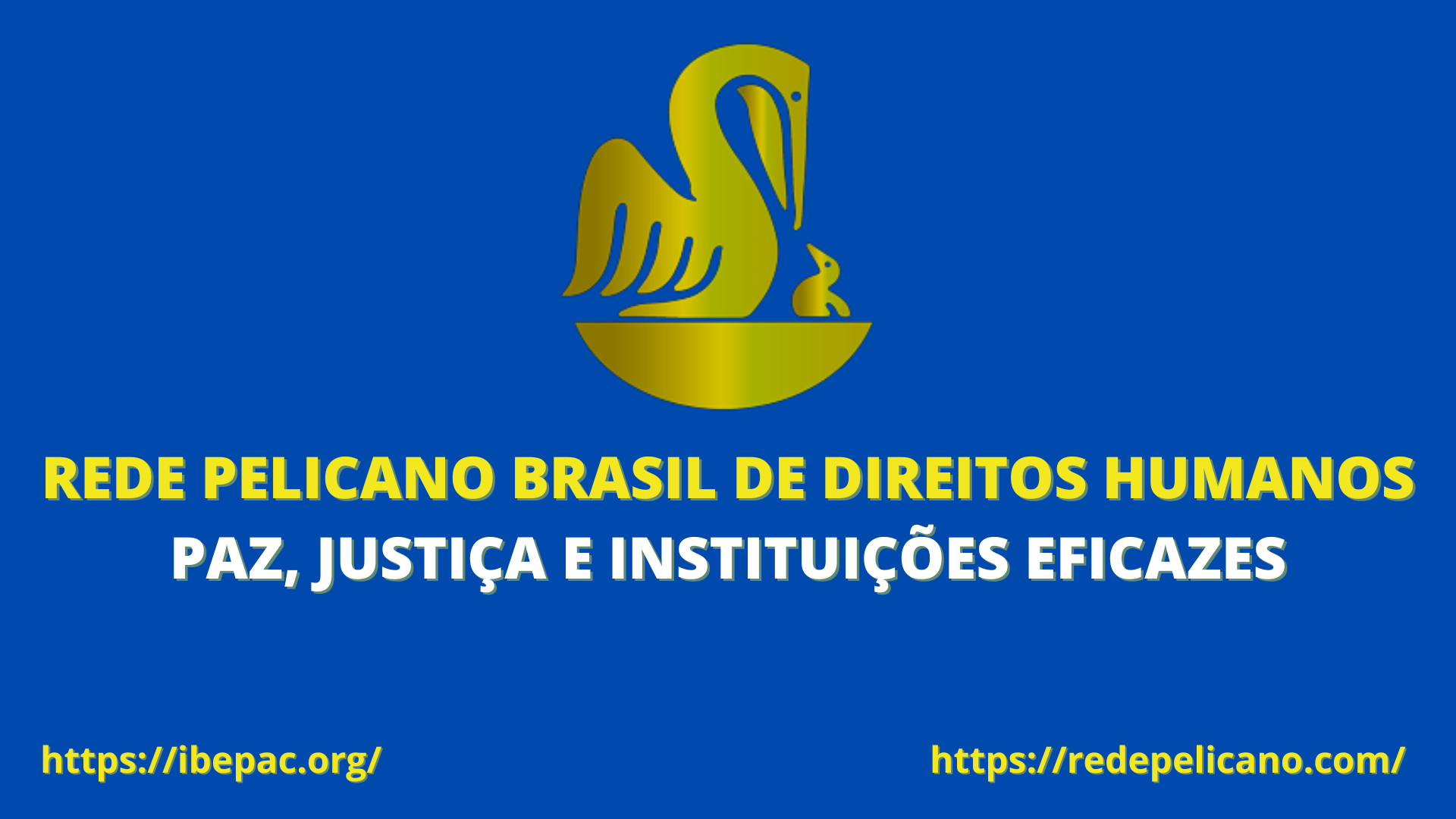 REDE PELICANO BRASIL DE DIREITOS HUMANOS