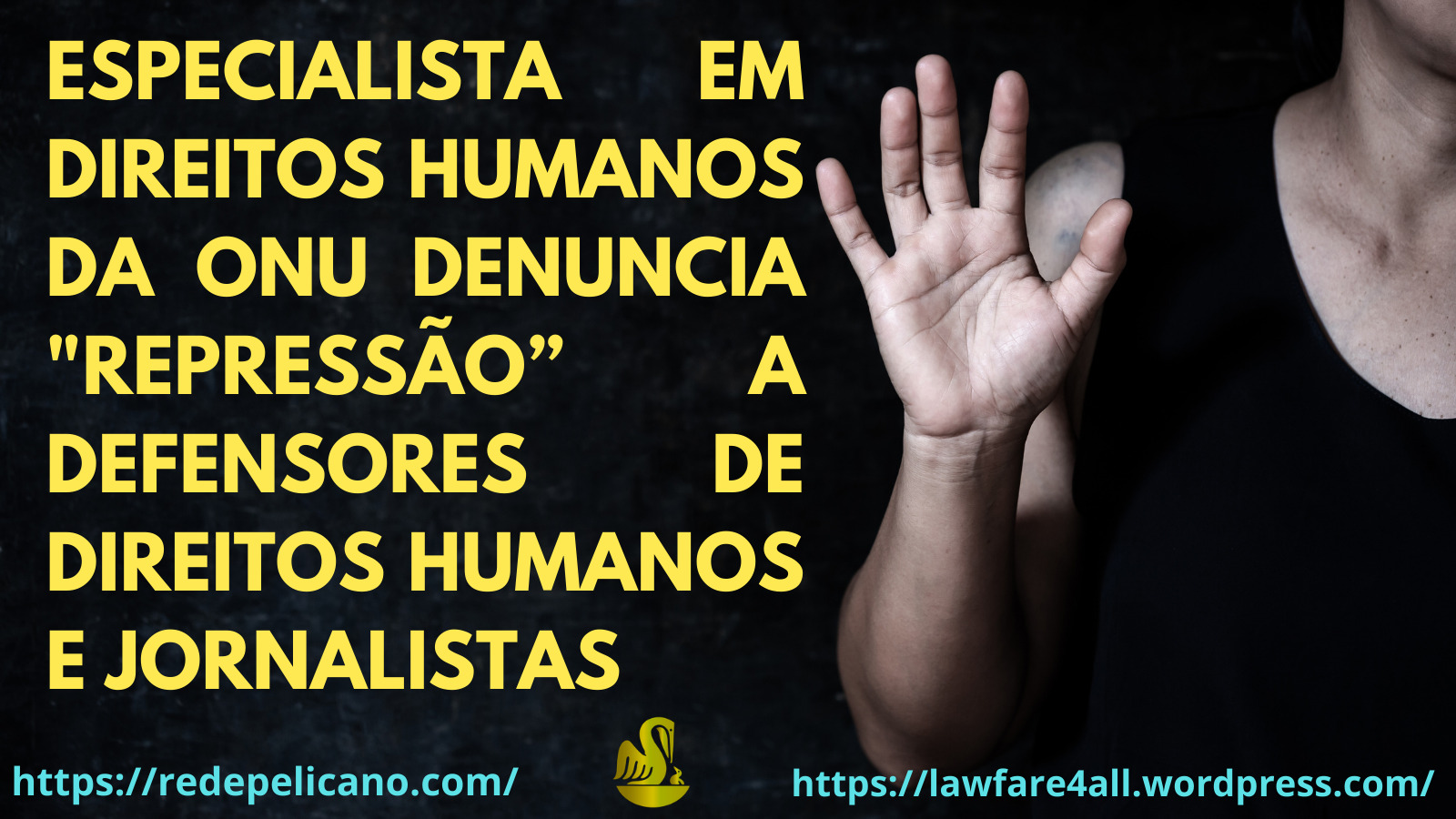 JULIANAANTONANGELO REDEPELICANO IBEPAC FREEASSANGE ONU ATIVISTA 1