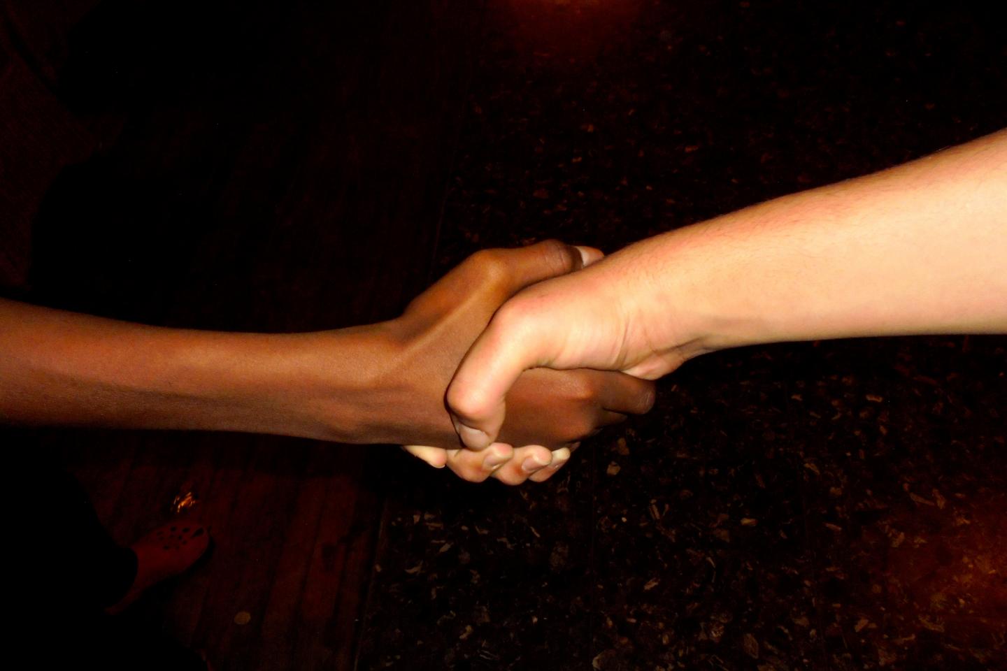 necessidade de garantias para o livre e pleno exercicio dos direitos humanos