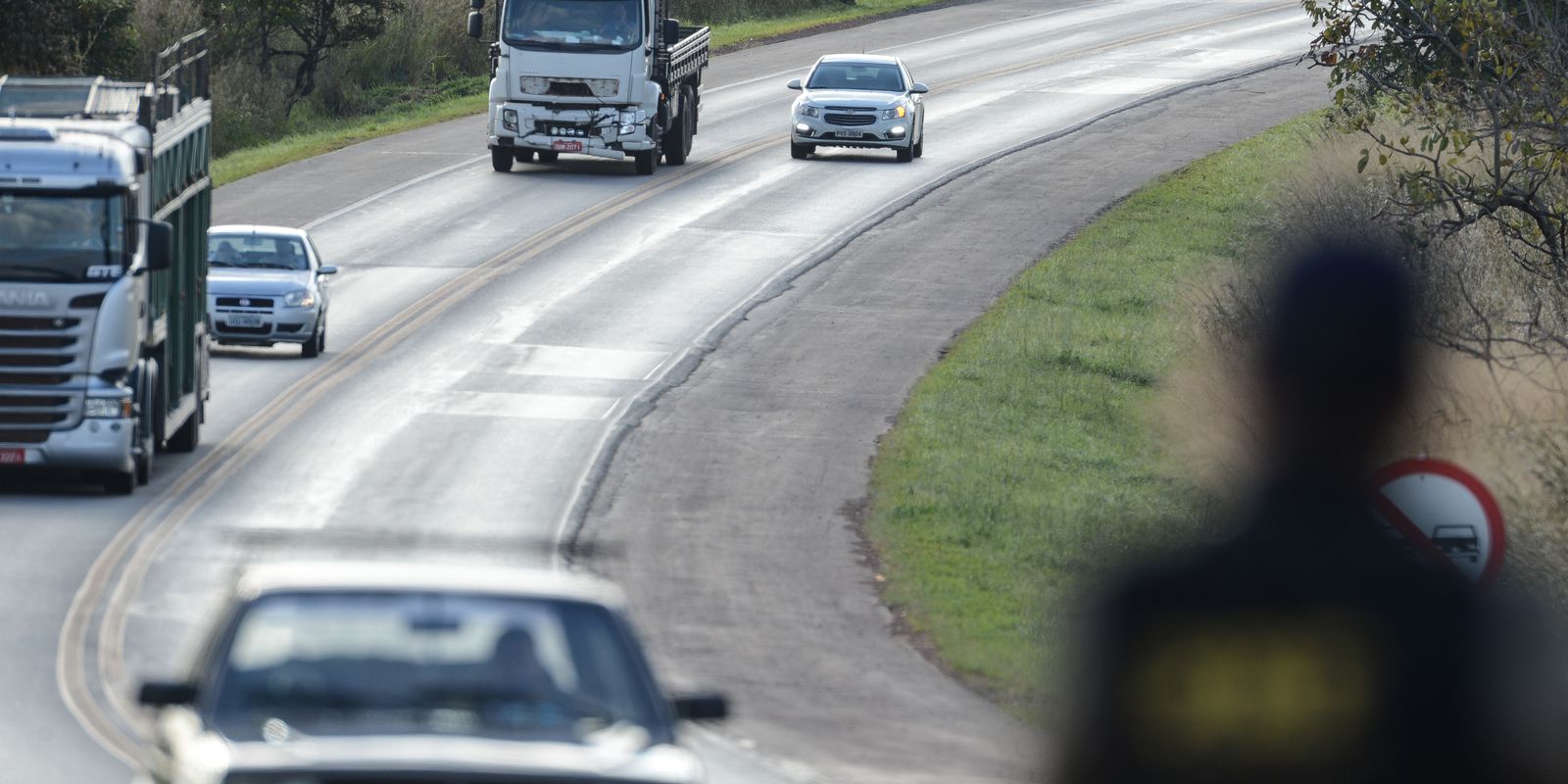 Br 040 Vai Ganhar Passagens Suspensas Para A Fauna