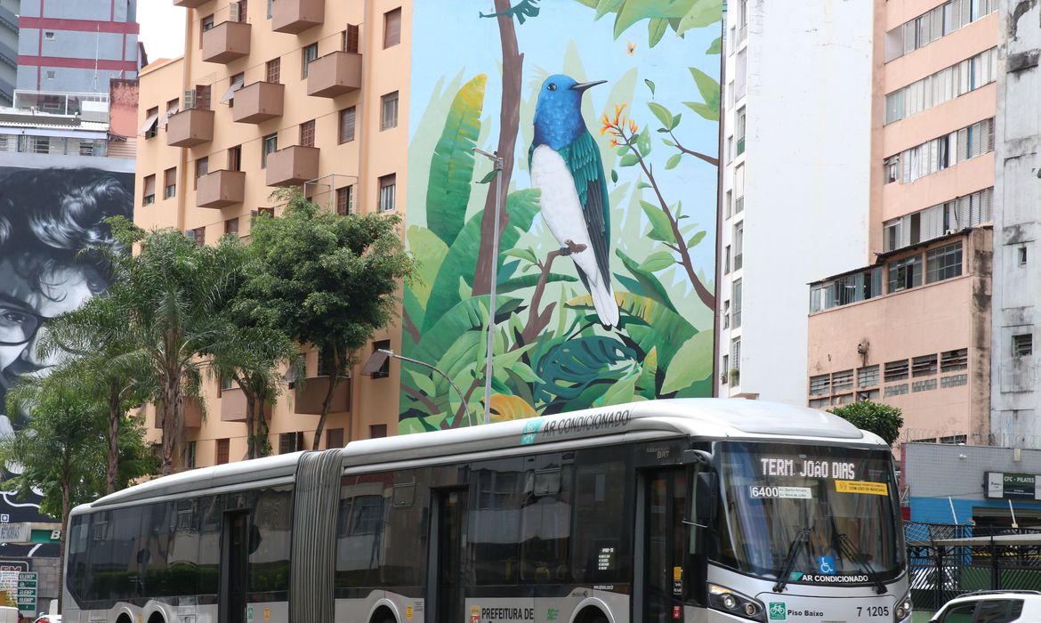 estados tambem podem oferecer transporte gratuito no segundo turno