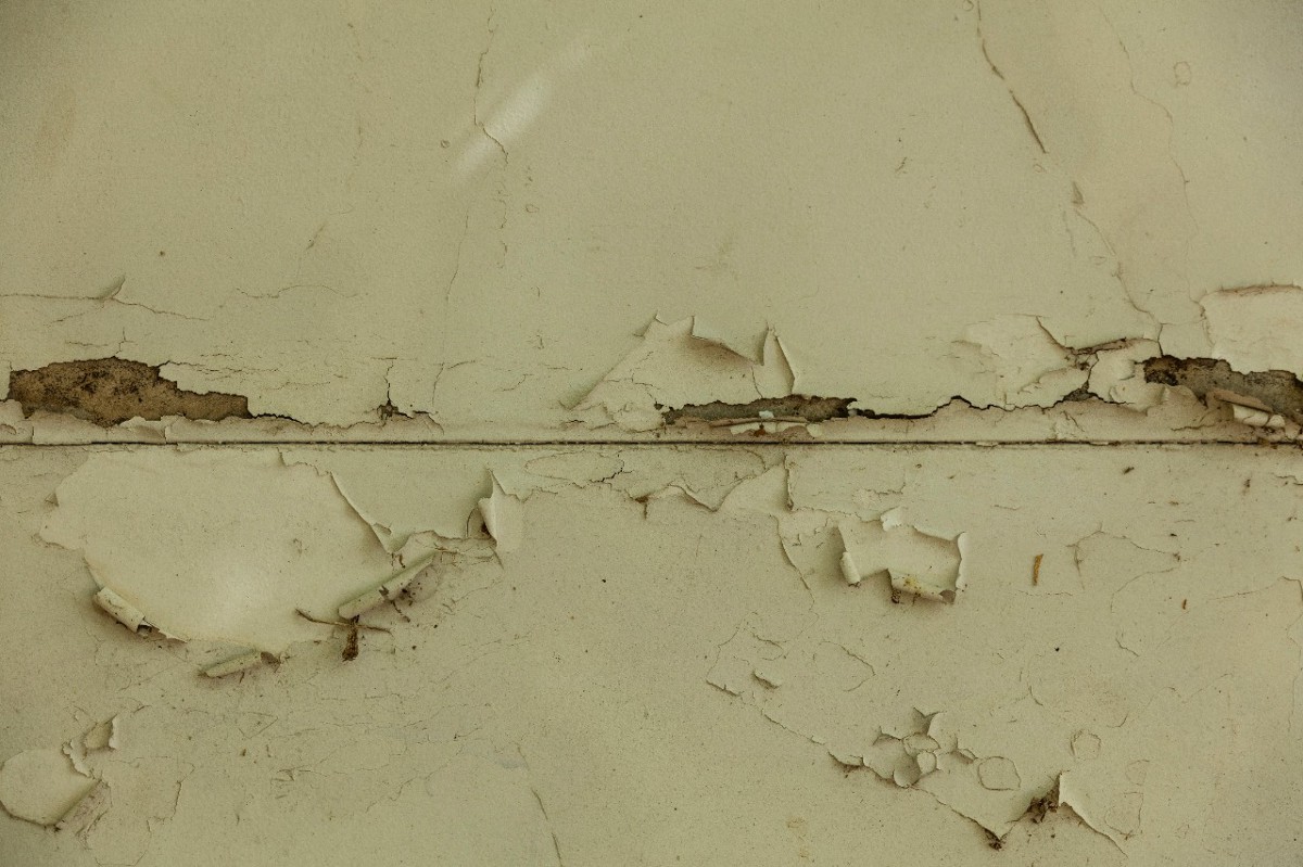 Irma De Sobrevivente Diz Que Lembra Do Cheiro De Creolina Com Sangue