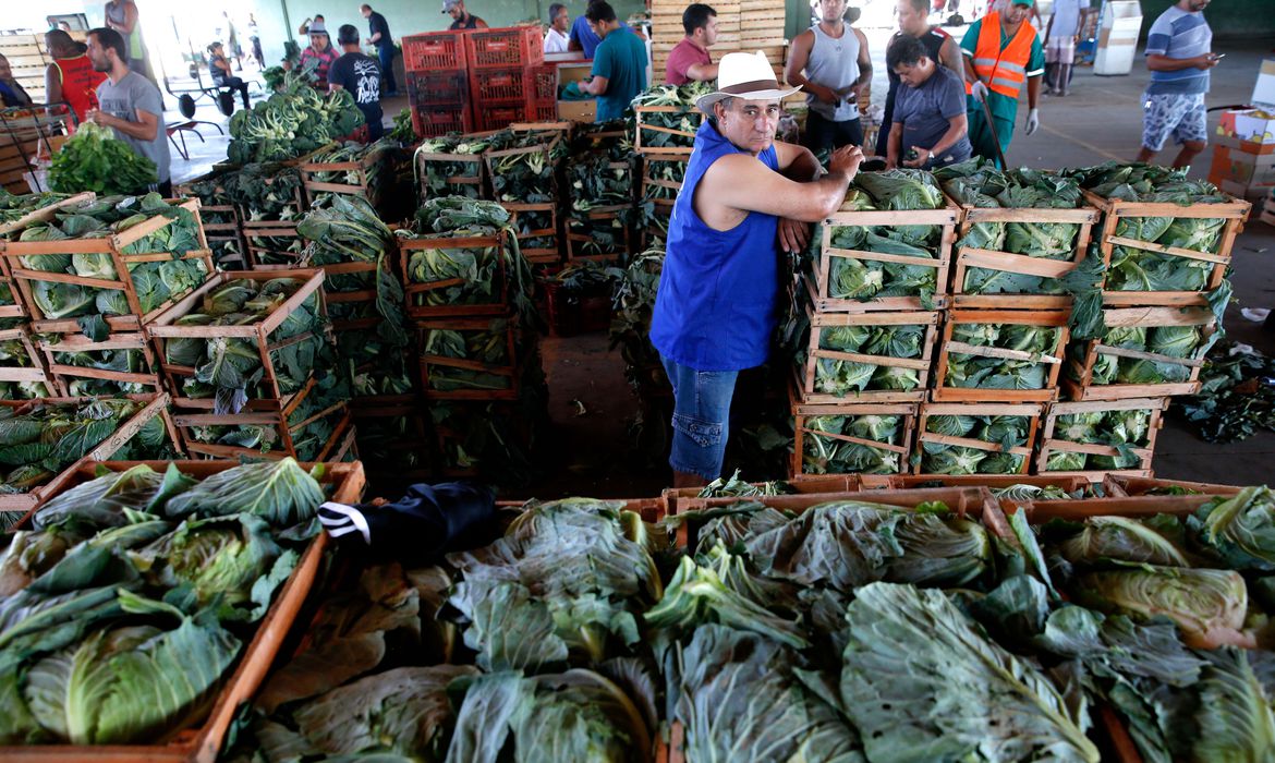 Leilao De Privatizacao Da Ceasaminas Ocorrera Em 22 De Dezembro