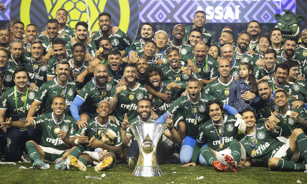 palmeiras domina a selecao do campeonato brasileiro