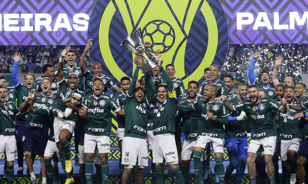 palmeiras vence america mg e recebe trofeu de campeao brasileiro