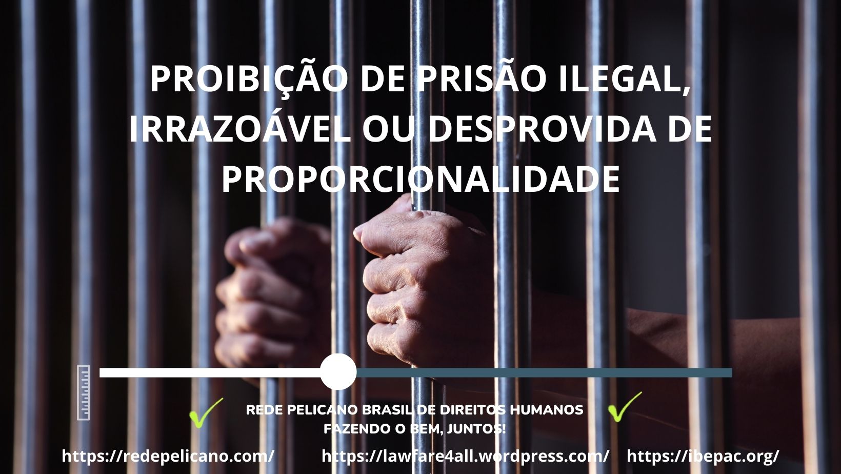 1#julianaantonangelo, #redepelicano, #ibepac,