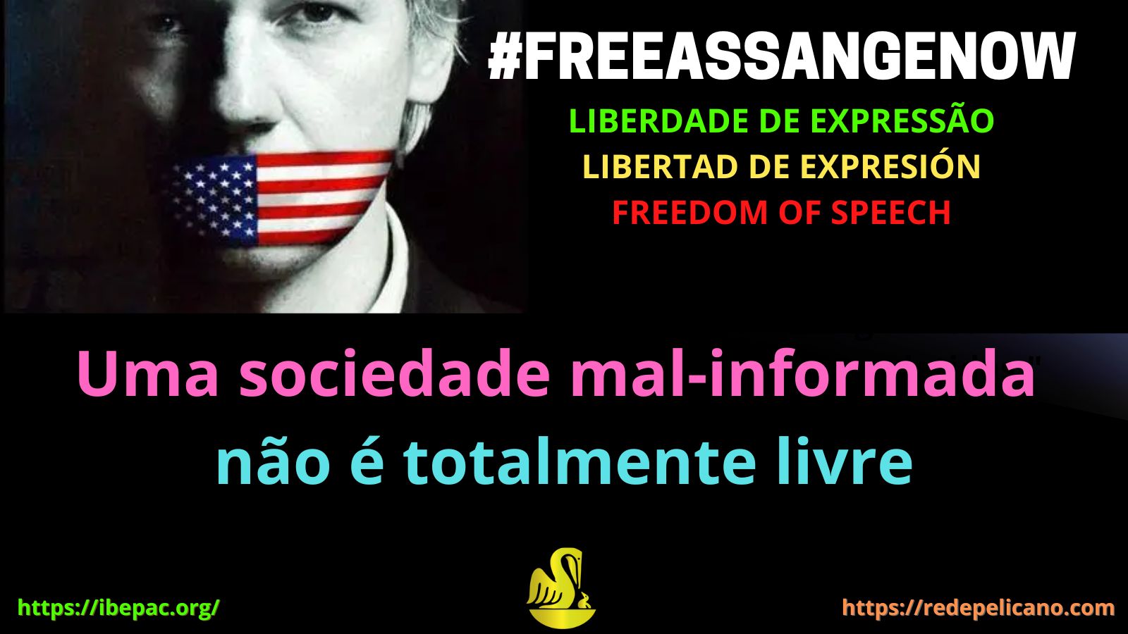 rede pelicano ibepac roxo assange sociedade mal informada freeassangenow
