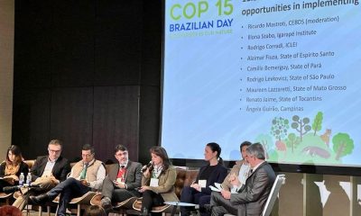 radio nacional apresenta programa dedicado a cantora liniker