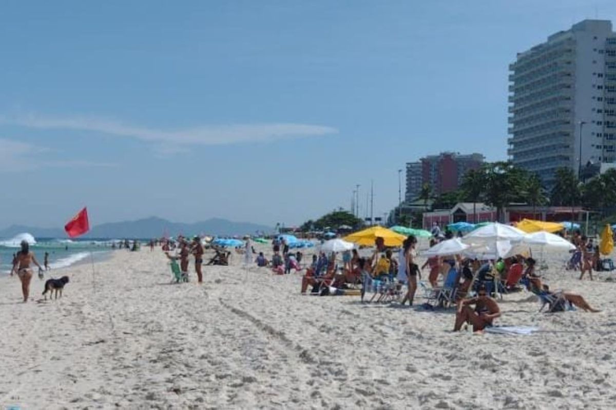 comlurb retira 280 toneladas de gigogas da praia da barra da tijuca