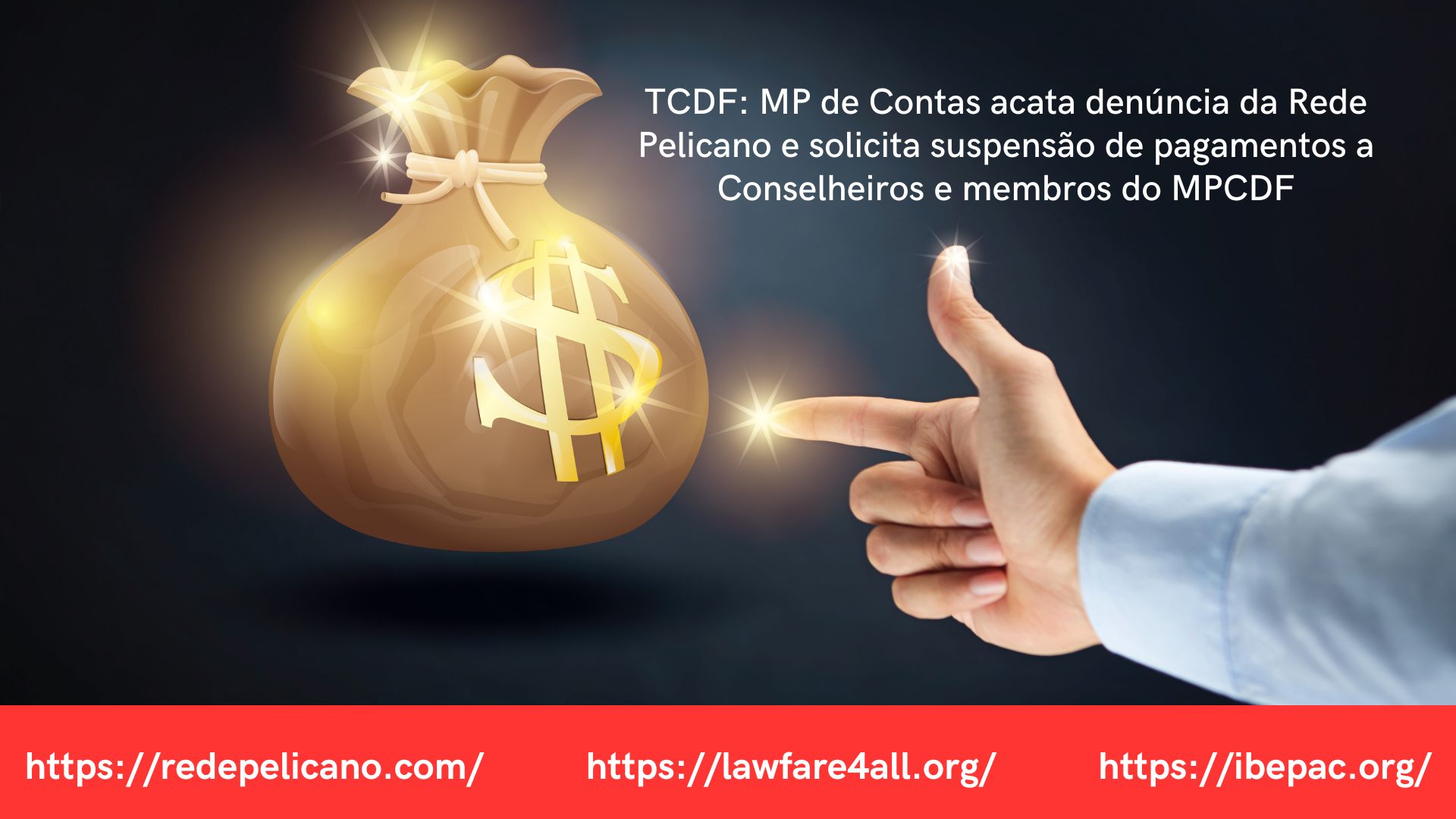 juliana antonangelo rede pelicano ibepac